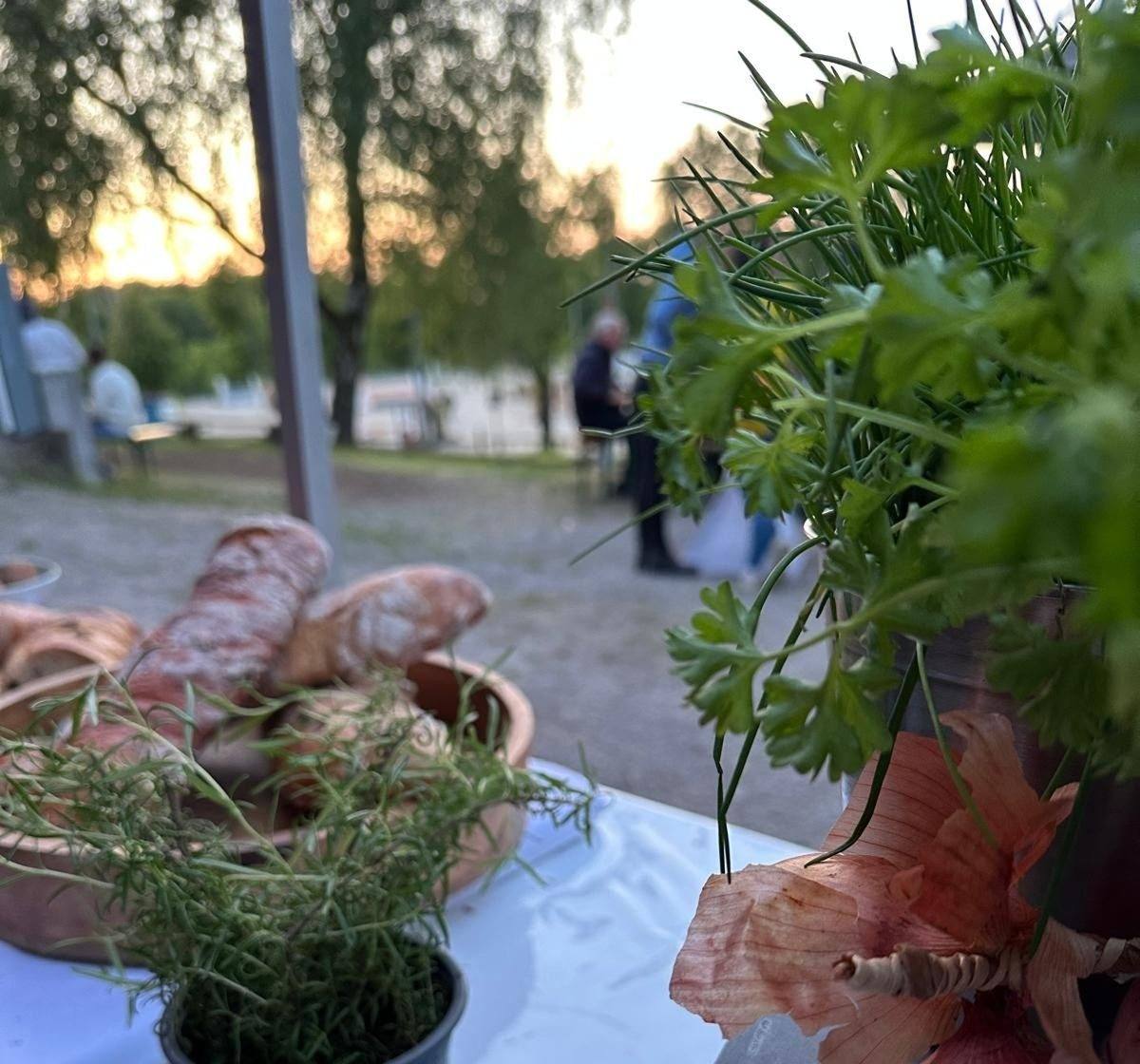 Brot und frische Kräuter auf einem Buffettisch bei einer Abendveranstaltung im Freien